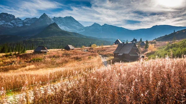 Maravilloso valle en la montaña Tatra al atardecer en otoño — Foto de Stock