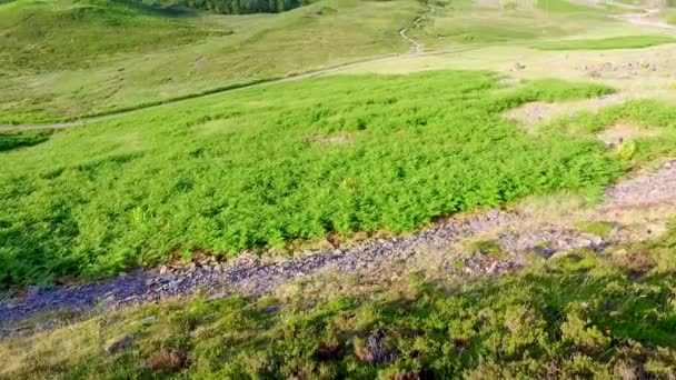 Alba primaverile sulle montagne di Glencoe, Scozia — Video Stock