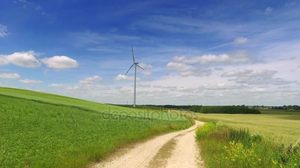 Windmolen op groene veld in de zomer op een zonnige dag — Stockvideo