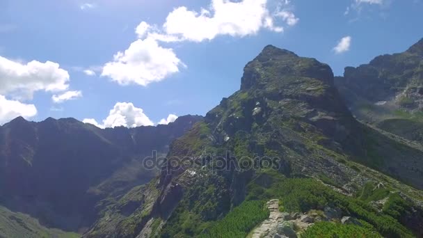 Czarny Staw Gasienicowy en vista de verano desde la cima, Montañas Tatra, Polonia, Europa — Vídeos de Stock