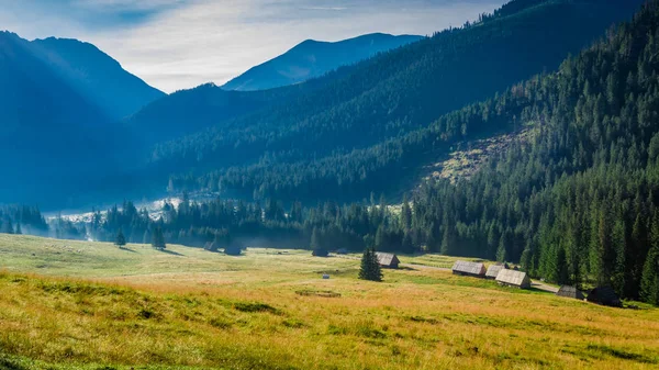 Wschód Słońca w dolinie Chochołowskiej, Tatry w Polsce, Europie — Zdjęcie stockowe