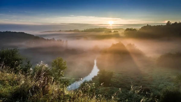 Amazing sunrise at foggy valley in autumn, Europe — Stock Photo, Image
