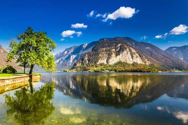 Λίμνη Hallstatt καλοκαίρι σε Άλπεις, Αυστρία — Φωτογραφία Αρχείου