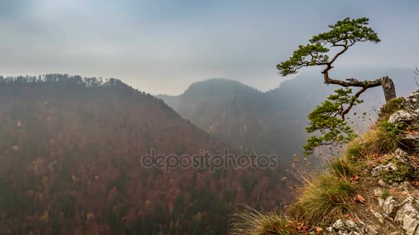 Sokolica csúcs a Pieniny-hegyekben a napfelkelte, a Lengyelország Timelapse — Stock videók