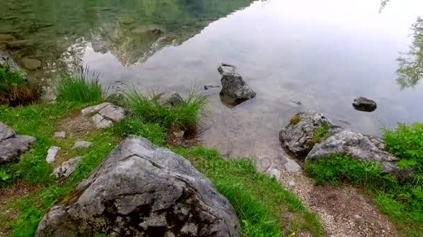 Petit lac de montagne Hintersee au lever du soleil dans les Alpes, Allemagne — Video