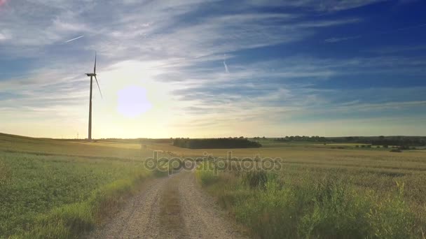 在阳光明媚的一天, 在绿色的田野, 波兰风车 — 图库视频影像