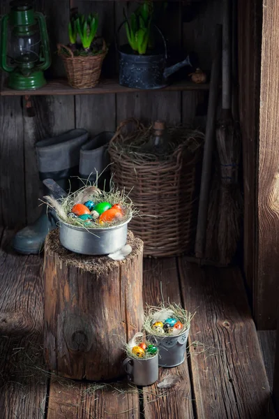 Пасхальные яйца на ферме в деревянном коттедже — стоковое фото