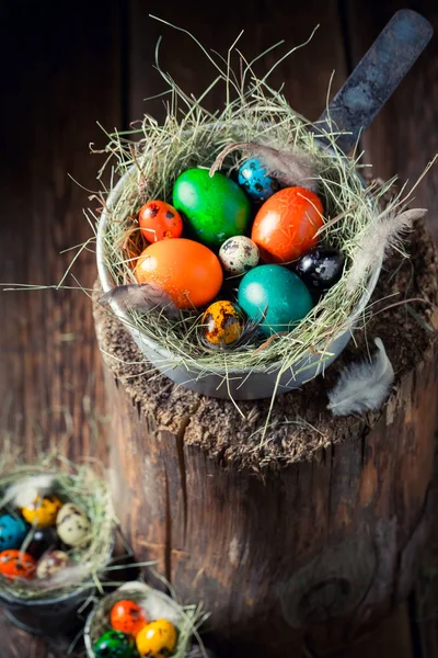 Φρέσκα πολύχρωμα Πασχαλινά αυγά στη φωλιά με σανό — Φωτογραφία Αρχείου
