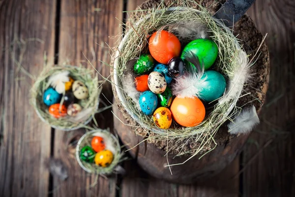 Πολύχρωμα αυγά για το Πάσχα με σανό και φτερά στη φωλιά — Φωτογραφία Αρχείου