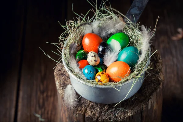 Κινηματογράφηση σε πρώτο πλάνο από αυγά για το Πάσχα στο αγροτικό εξοχικό σπίτι — Φωτογραφία Αρχείου
