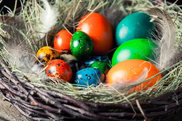 Closeup of various Easter eggs in the rustic cottage — Stock Photo, Image