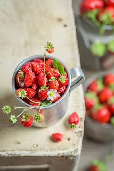 Closeup of juicy wild strawberries in old metal mug — Stock Photo, Image