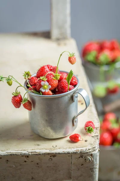 Juicy wild strawberries in the old metal mug — Stock Photo, Image