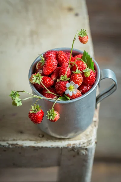 Sweet wild strawberries in the old metal mug — Stock Photo, Image