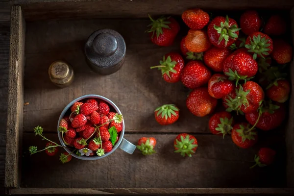 Freshly harvested wild strawberries in the old metal mug — Stock Photo, Image