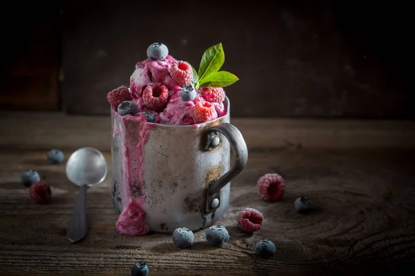 Taze meyve ve süt lezzetli dondurma yapılmış — Stok fotoğraf