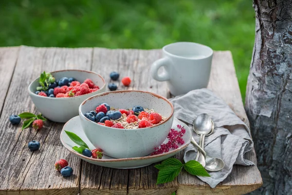 Flocons d'avoine savoureux au lait et fruits frais à la baie — Photo