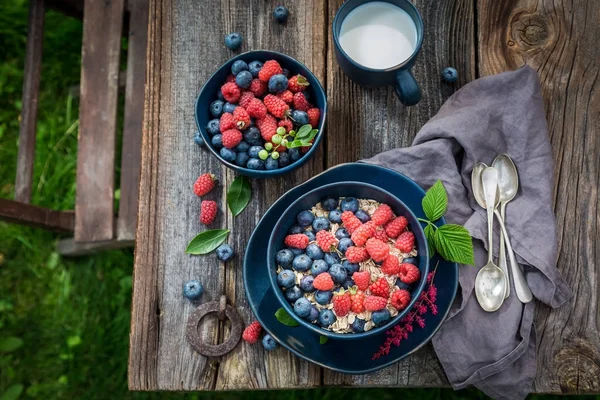 Heerlijke muesli met melk en verse bessen vruchten — Stockfoto