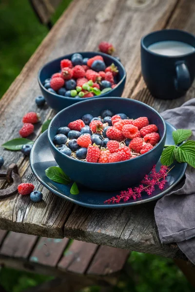 Flocos de aveia saudáveis para pequeno-almoço no jardim de verão — Fotografia de Stock