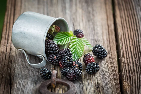 Juicy blackberry in the old metal mug — Stock Photo, Image