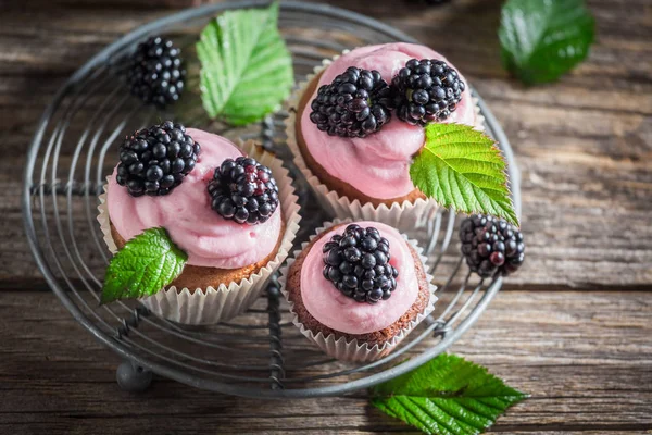 Blackberry cupcake with berries and pink cream — Stock Photo, Image