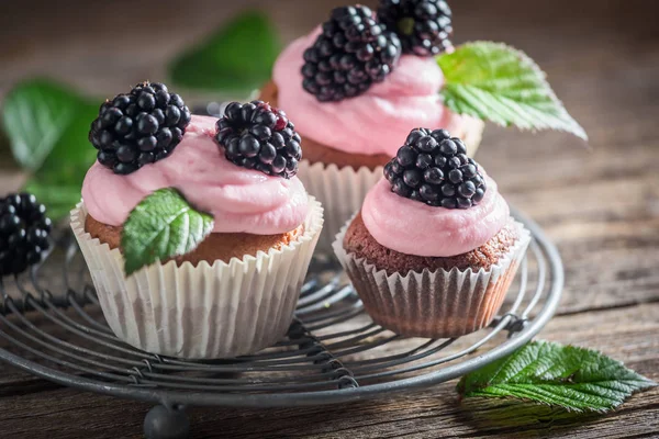 Closeup of homemade blackberry cupcake with berries and pink cream — Stock Photo, Image