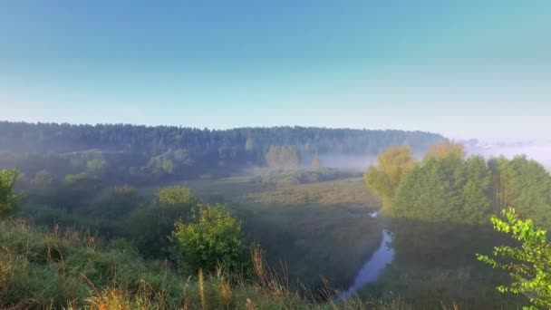 Beautiful Sunrise Valley Beautiful Fog Autumn Poland — Stock Video