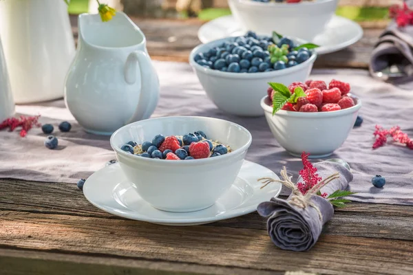 Primo piano di muesli con frutti di bosco e latte in estate — Foto Stock