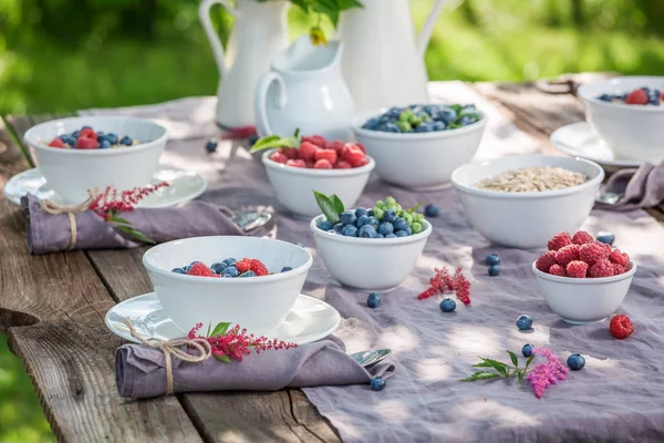 Verse muesli met bessen vruchten en melk in de zomer — Stockfoto