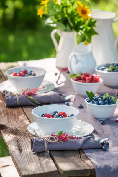 Healthy granola with raspberries and blueberries in sunny day — Stock Photo, Image