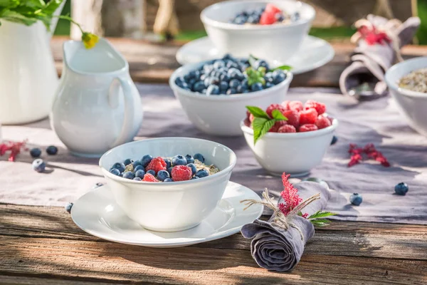 Lekker ontbijt met bessen vruchten en melk in de zomer — Stockfoto