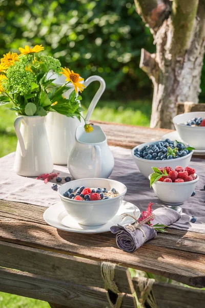 Zdravé müsli s malinami a borůvkami v zahradě — Stock fotografie