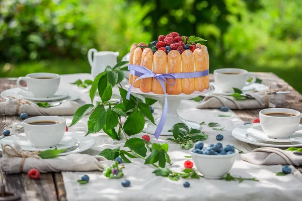 Koláč sladký jogurt s ovocem a sušenky v zahradě — Stock fotografie