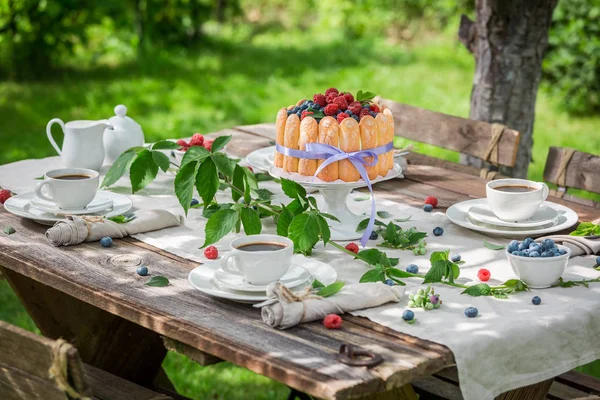 Sladké letní dezert s malinami a borůvkami v zahradě — Stock fotografie