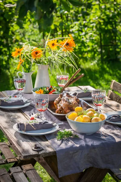 Tasty dinner with chicken and vegetables served in the countryside — Stock Photo, Image
