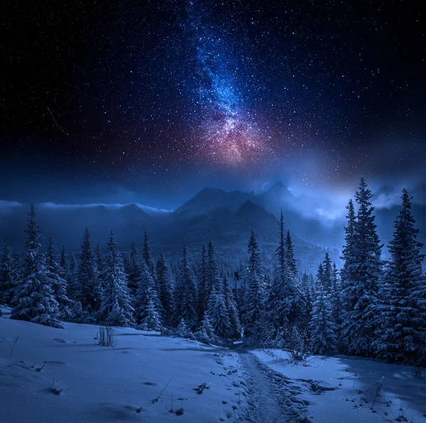 Montañas Tatras en invierno por la noche y estrellas, Polonia — Foto de Stock