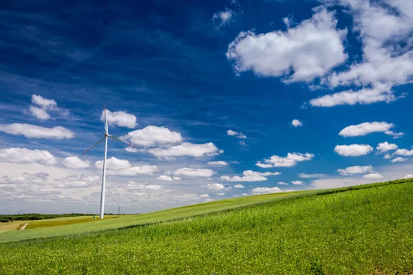 Turbinas eólicas en el campo verde en verano como energía alternativa —  Fotos de Stock