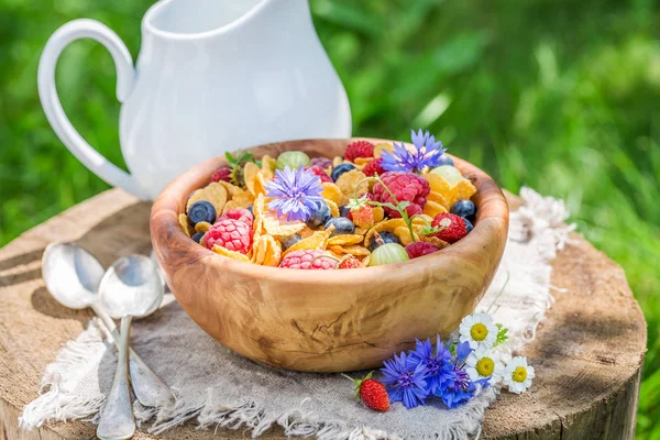 Смачні кукурудзяні пластівці з ягодами в саду — стокове фото