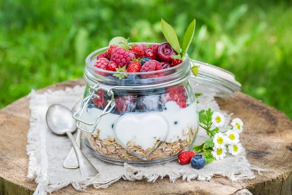 Muesli dolci con frutti di bosco e yogurt in giardino — Foto Stock