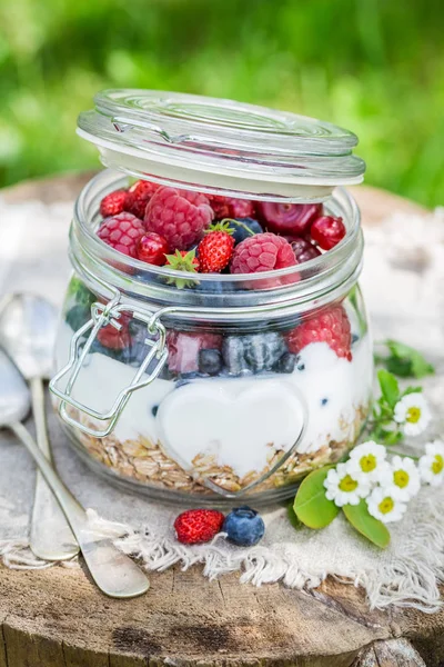 Closeup de granola com iogurte e flores no jardim — Fotografia de Stock