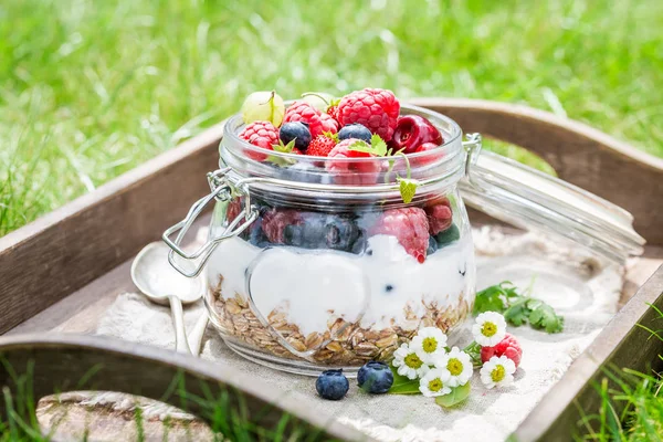 Berry fruits and yogurt with granola served in garden — Stock Photo, Image