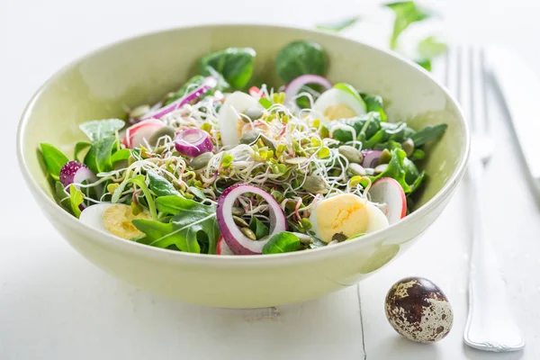 Primo piano d'insalata con cipolla, uovo di quaglia e germogli — Foto Stock