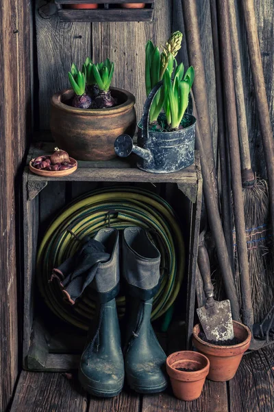 Old wooden workshop with clay pots and wellingtons — Stock Photo, Image