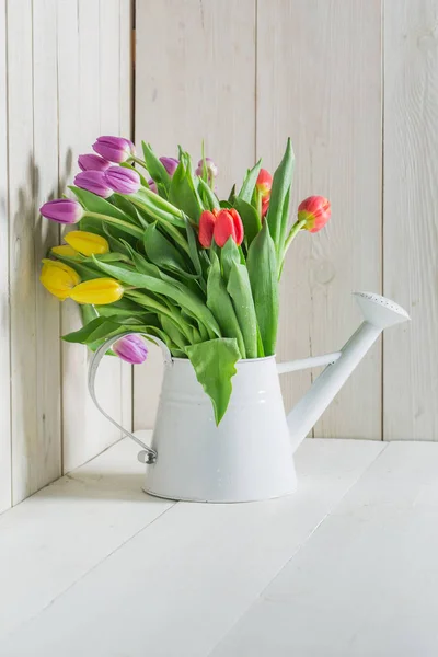 Verse tulip in witte gieter op witte tafel — Stockfoto