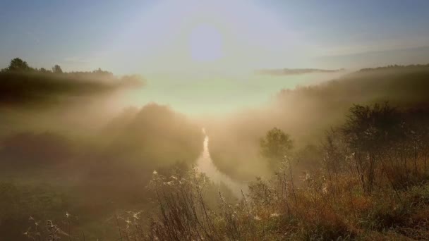 Beau lever de soleil sur la vallée avec un beau brouillard en automne, Pologne — Video