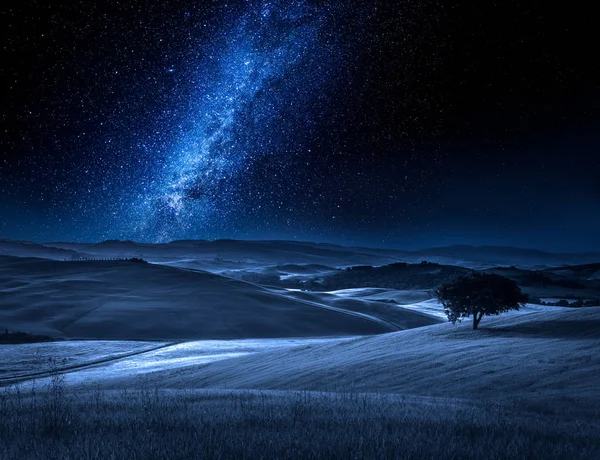 Alone tree on field at night with milky way — Stock Photo, Image