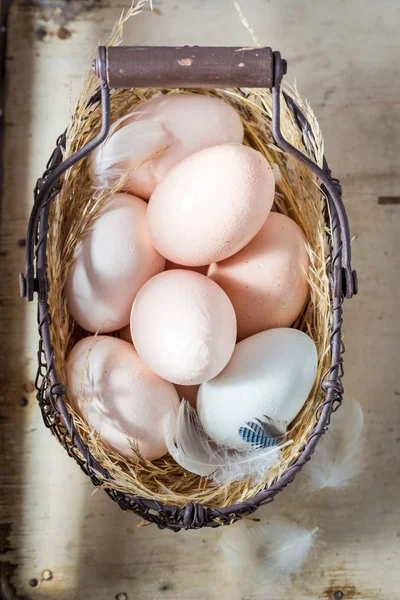 Jajka w koszyku z gospodarstwa — Zdjęcie stockowe