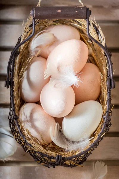 Closeup of free range eggs with feathers in basket — Stock Photo, Image