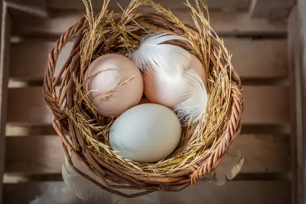 Primer plano de los huevos frescos en canasta de mimbre — Foto de Stock