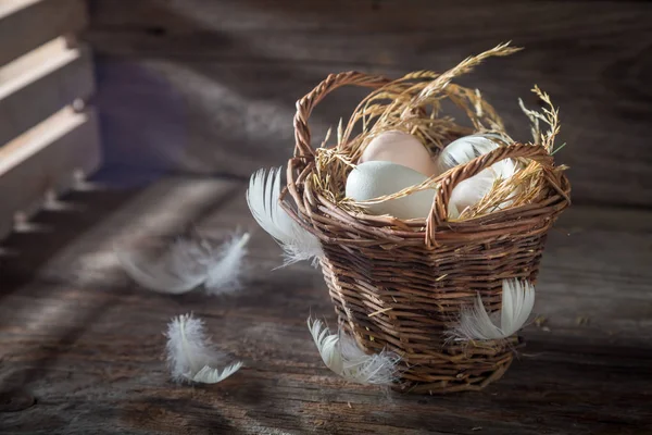 Ecologische vrije uitloop eieren van de boerderij — Stockfoto
